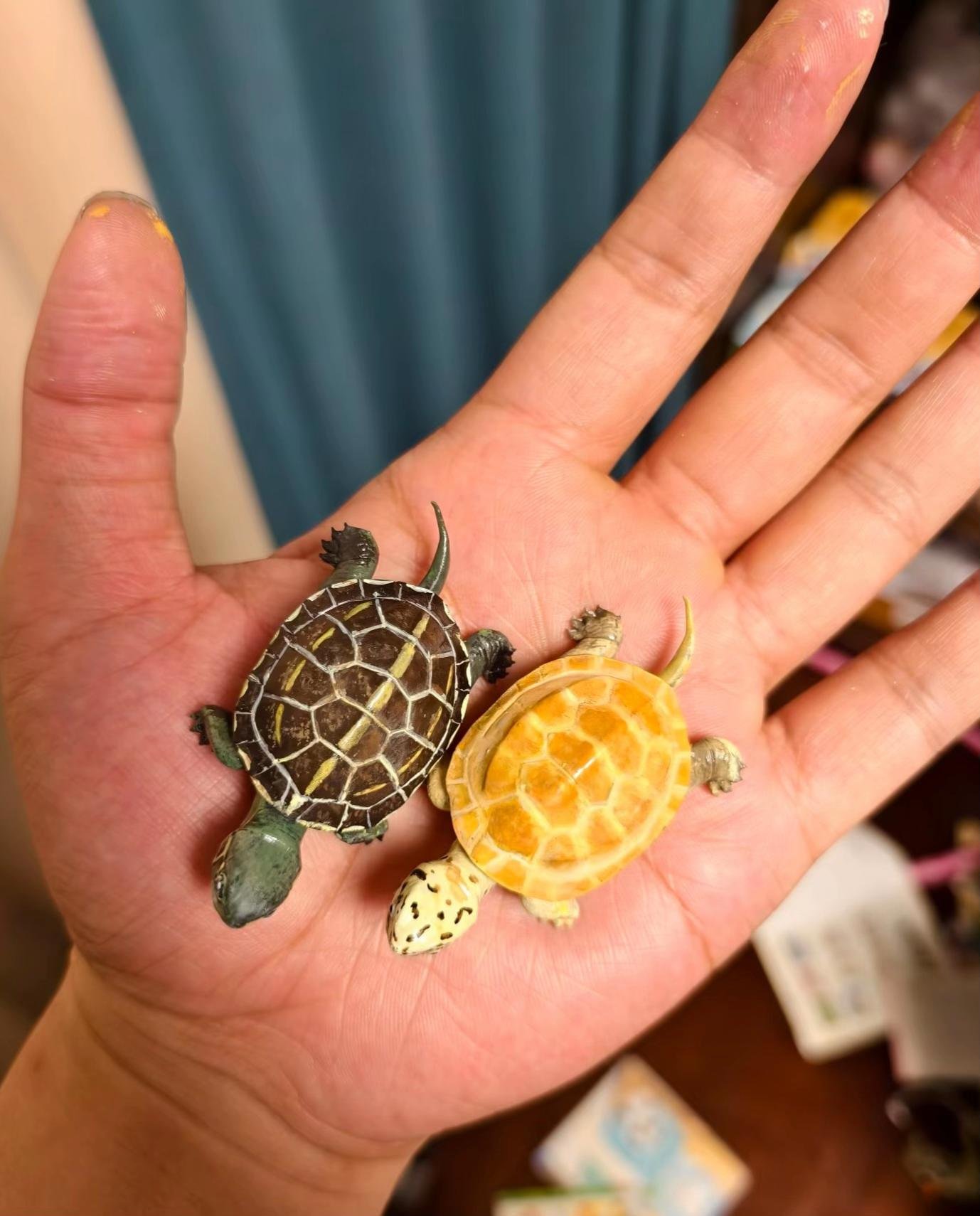 Baby Aquatic Turtles - Image 2